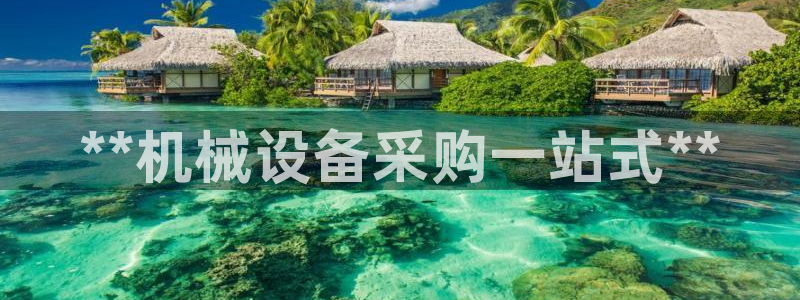 九游会官网进入口