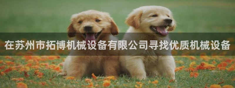 ag变成九游会
