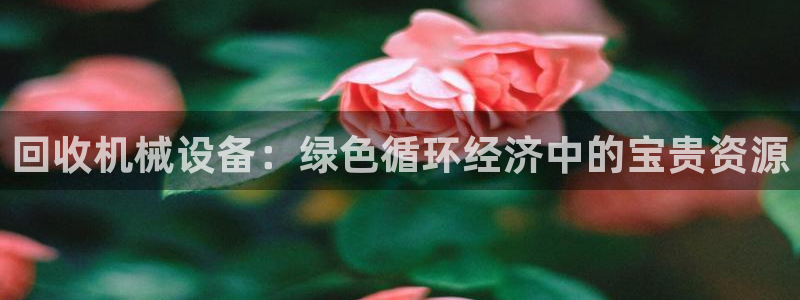 j9九游会最新官网