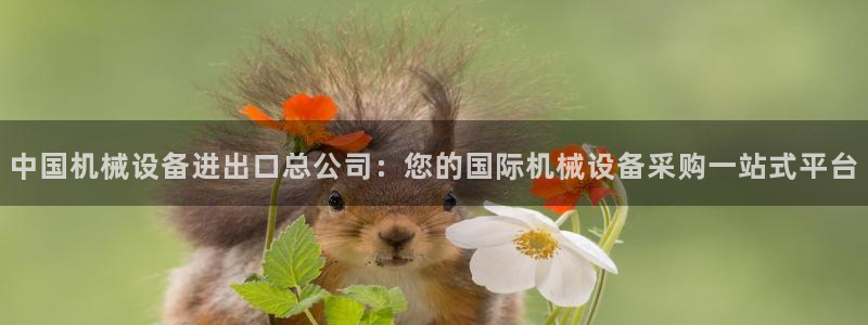 j9九游会老哥俱乐部