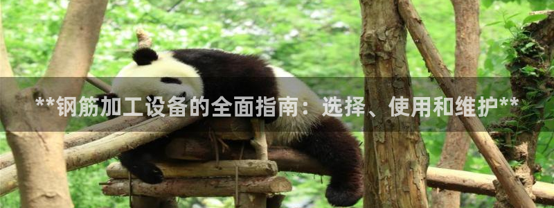 九游会注册网址