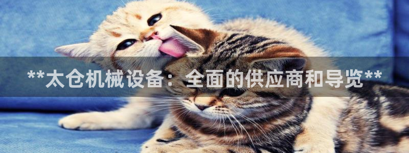 九游会官方下载
