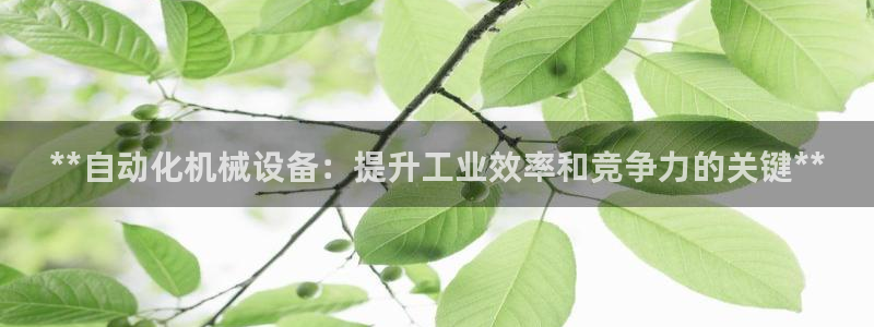 九游会网址登录不上