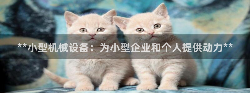 九游会官方正版下载