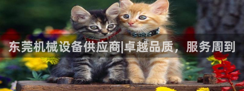 九游会员中心
