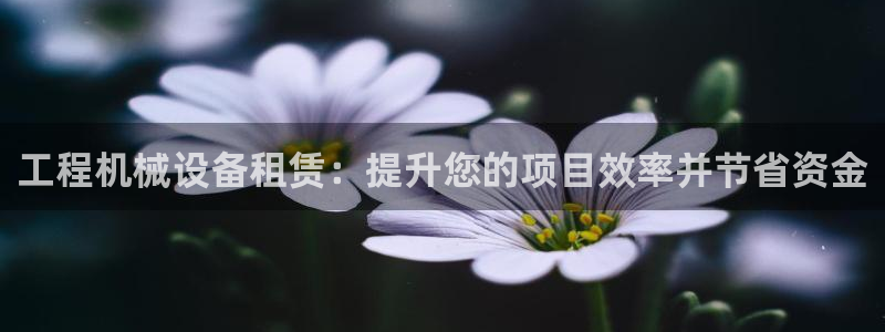 ag久游会