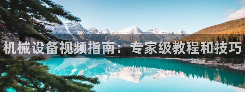九游会平台app