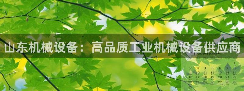 九游会官网进入口