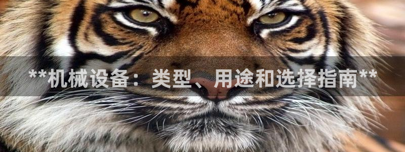 九游会官网入口