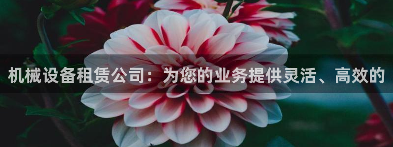 九游会视讯,九游会视讯厅