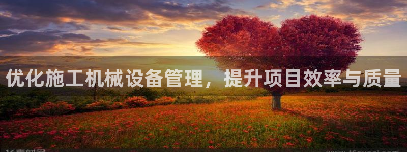 ag九游官网登录：优